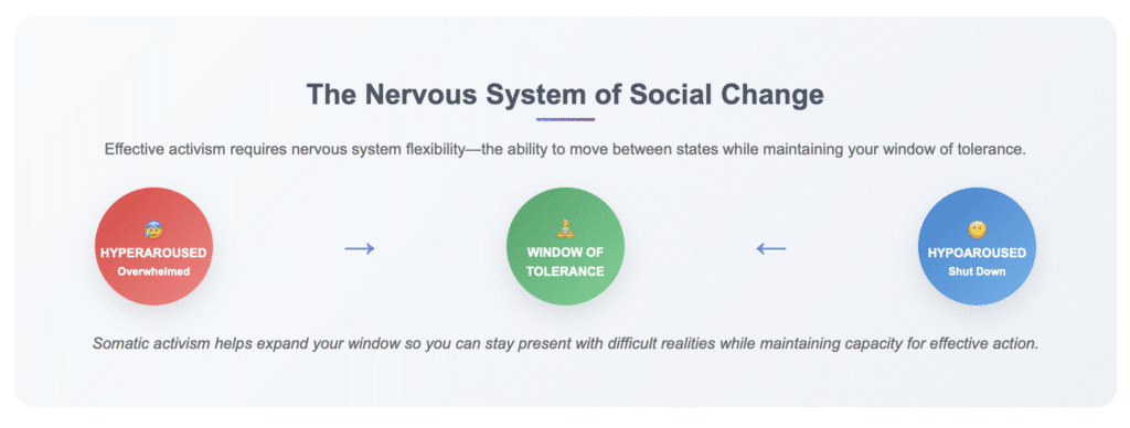 The Nervous System of Social Change